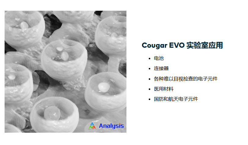 微(wēi)焦點X射線成像系統 Cougar